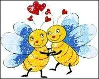 Abeille pouserait frelon ...