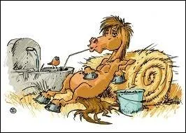 On recherche deux hommes de paille (un grand un petit) pour ...