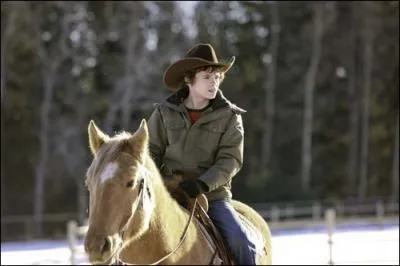 Quel est ce cheval ?