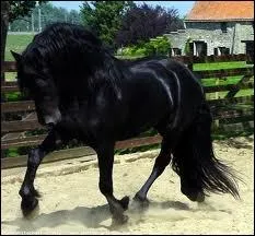 Comment le surnomme-t-on ?