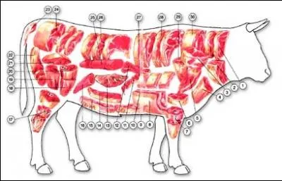 Qui s'est exclamé : "Il est toujours bon de commencer par une victoire, surtout lors du premier match. " ?