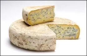 Le Bleu de Sassenage est :