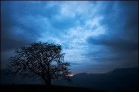 A quel moment de la journe correspond l'heure bleue ?