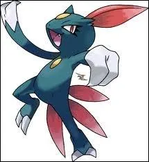De quel type est ce Pokmon ? (Farfuret)