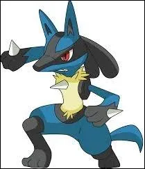 De quel type est ce Pokmon ? (Lucario)