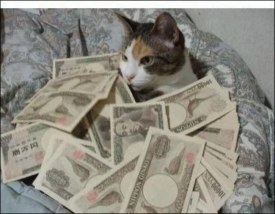 De quel jeu de cartes vient l'expression  tre plein aux as  ?