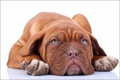 Comme le passage  l'heure d't se passe durant la nuit ( 2 h chez nous )... . .