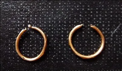 L'objet signe l'appartenance du porteur à un groupe spécifique qu'il soit religieux, professionnel, politique, ethnique, sexuel ou autre. 
À qui sont ces anneaux d'oreilles ou joints ?