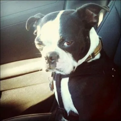 Que peut vous rserver un ennemi intime ?