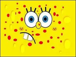 Quelle maladie appelle-t-on exanthme subit ?