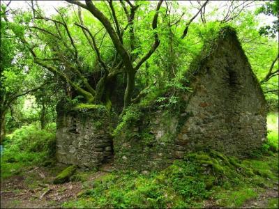 La petite ville de Kenmare, dans le comt de Kerry, a une particularit, on y trouve beaucoup de ruines de toutes sortes, certaines remontant  l'poque des Celtes !