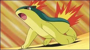 Ce Pokmon, c'est ...