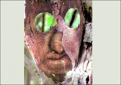 La première question était pour vous saluer, celle-ci est pour vous observer quittant le quiz. Que distingue-t-on très précisément ?