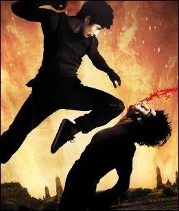 Ce film d'arts-martiaux raconte la vengeance d'un jeune homme contre ceux qui ont assassin ses parents. Il s'agit de :