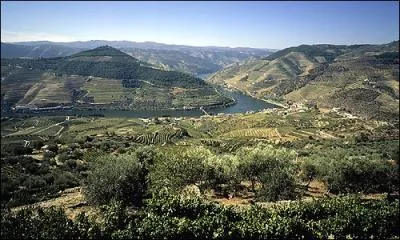 Quel est le nom des lignes ariennes nationales portugaises ?