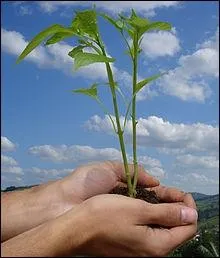 Http : //www. quiz.biz/