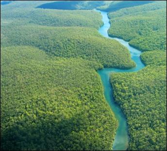 Quelle est la surface du bassin amazonien ?