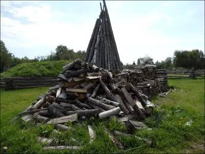 Entre 2000 et 2005, combien d'hectares de fort ont disparu dans le monde ?