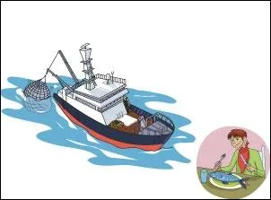  quoi sert la biodiversit ?