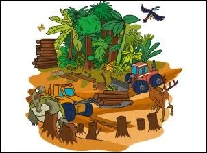 Qu'est-ce qui menace la biodiversit ?