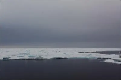 Dans combien de temps la banquise devrait-elle disparatre ?