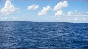 Quel pourcentage de chaleur climatique les ocans ont-ils absorb ?