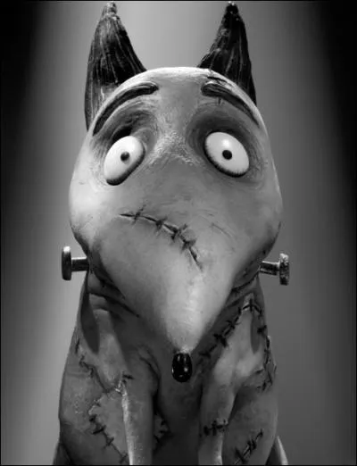 Tim Burton a réutilisé un personnage qu'il avait déjà créé à l'occasion d'un court-métrage pour en faire le héros de ce film d'animation. Comment s'appelle-t-il ?