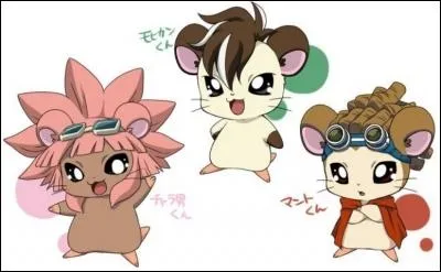 Qui sont ces petit hamsters ?