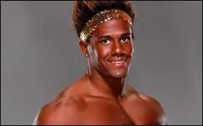 Combien de  theme songs  Darren Young a-t-il eu dans toute sa carrire ?