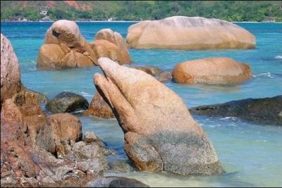  quels mammifres marins, ces rochers vous font-ils penser ?