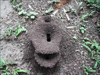  quoi vous fait penser ce trou de serrure ?