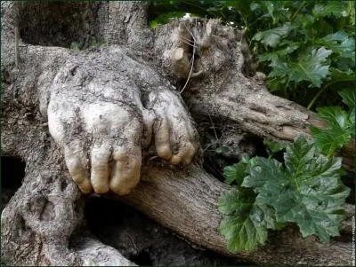 Cet arbre possde des mains.  quelle figure de style, l'attribution de caractristiques humaines correspond-elle ?