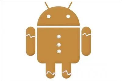 Quelle est cette version d'Android ?