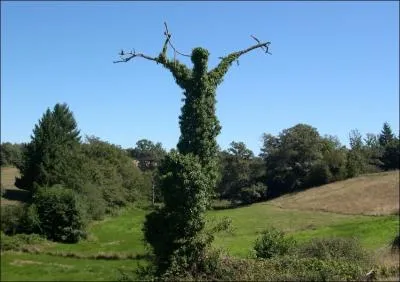 Photographi dans une campagne du Limousin. O se trouve la commune de Folles ?
