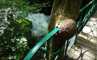 Solidit assure et une fonction...  toute preuve.