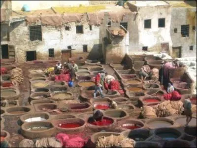 Ces hommes procdent au foulage des peaux de cuirs dans des bassins se trouvant aux tanneries de ... , 2e ville importante du Maroc.
