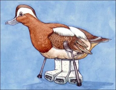 Tous ceux qui ont de mauvaises relations avec leurs pieds, qui jouent les casse-pieds et ayant dtest ce quiz ne manqueront pas de dire :