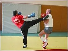  quel domaine sportif de combat de percussion appartiennent les figures cites : fouett figure, revers figure, revers balanc ?