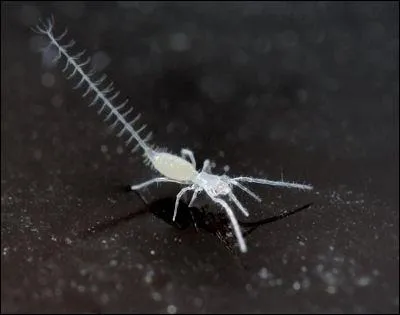 Elle se calme srieusement avec les annes, au bnfice de la sagesse !