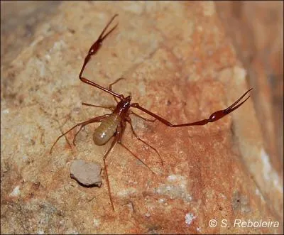 Affirmation qui laisse bouche be : Mentir comme un ...