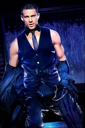 Ce gros succs au box-office amricain raconte l'histoire d'un strip-teaseur qui prfrerait bien tre entrepreneur... Il s'agit de :