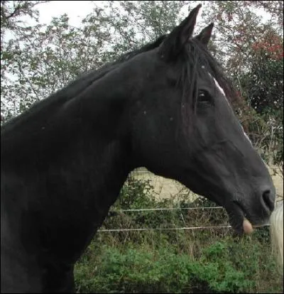 Quelle est cette robe ?