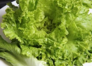 Quiz Varits de salades