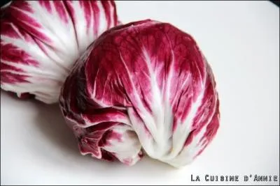 Comment s'appelle cette salade ?