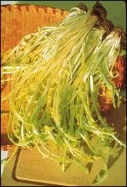 Quel est le nom de cette chicorée sauvage ?