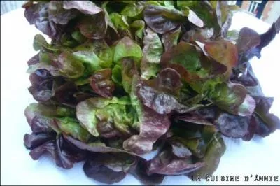 Quel nom porte cette salade ?