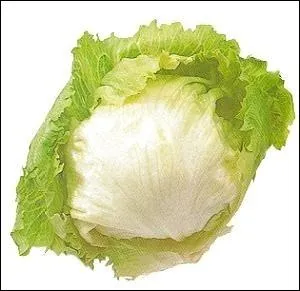 Quelle est cette salade ?