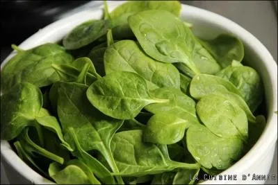 Qu'allez-vous faire comme salade ?