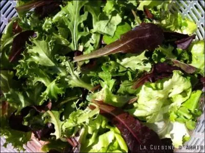 Classez-vous le mesclun parmi les laitues ?