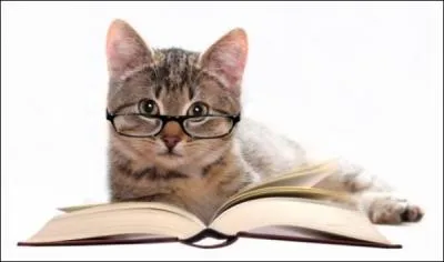 Dans  les Fleurs du mal  de Charles Baudelaire, y a-t-il des pomes sur les chats ?